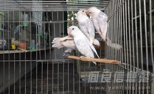 QQͼƬ20140911215732.jpg