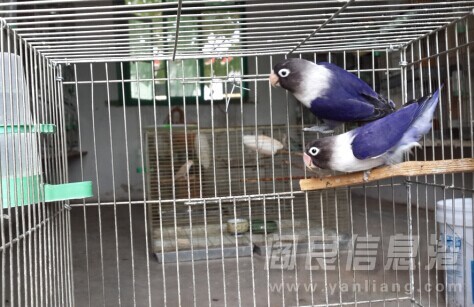 QQͼƬ20140911215802.jpg