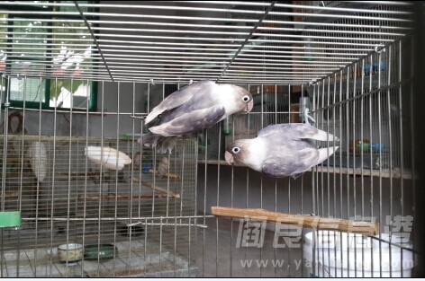 QQͼƬ20140911215810.jpg