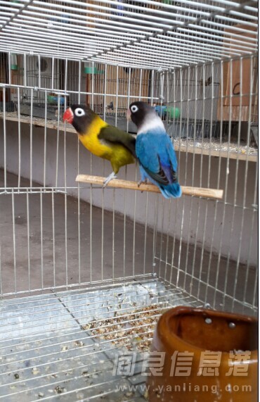 QQͼƬ20140911215818.jpg