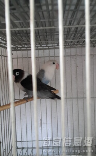QQͼƬ20140911215830.jpg