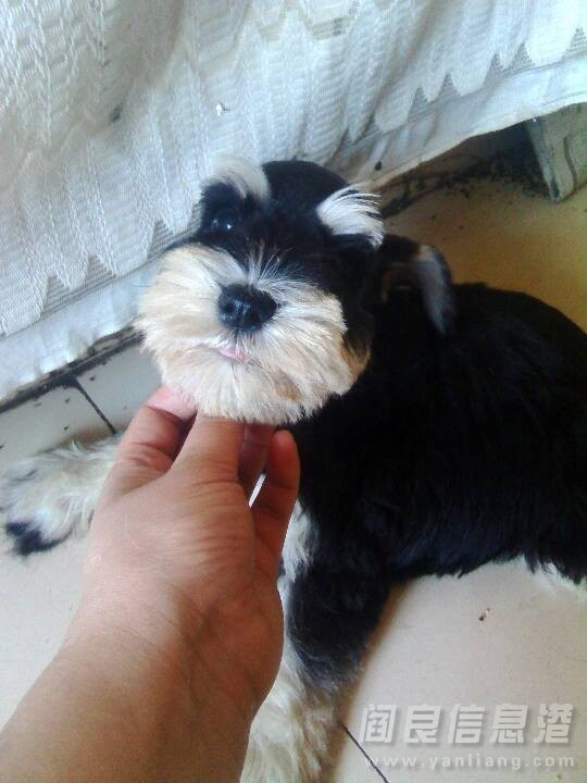QQͼƬ20140209204224.jpg