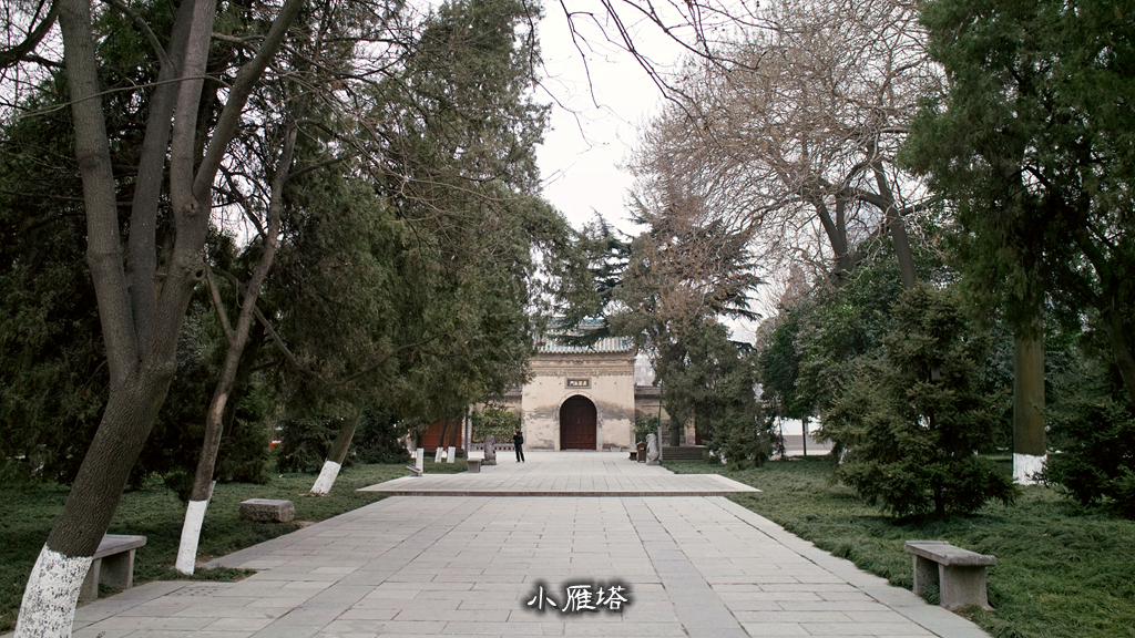 SDIM2088.jpg