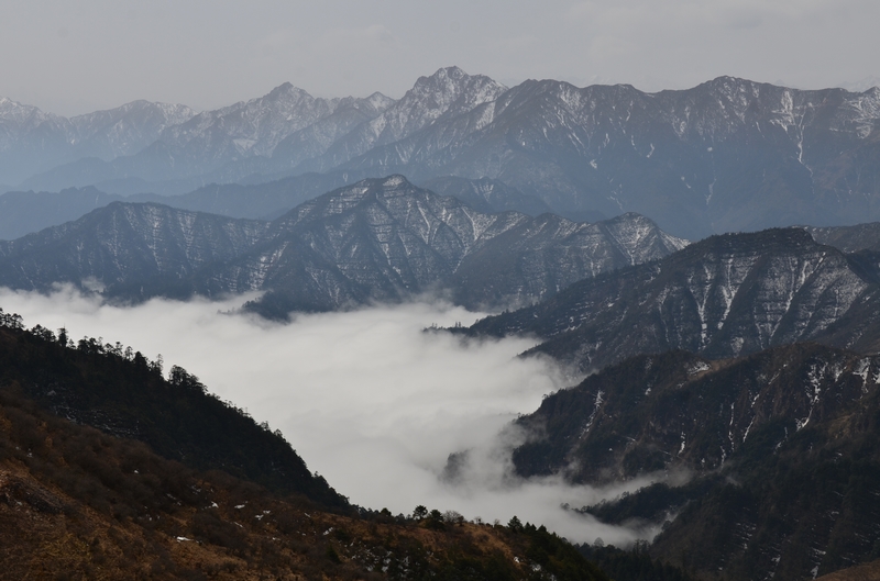 DSC_6807.jpg