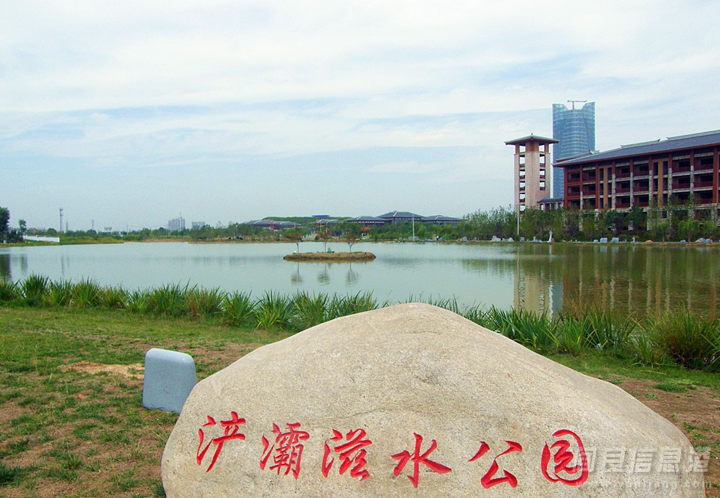 DSCF5225.jpg
