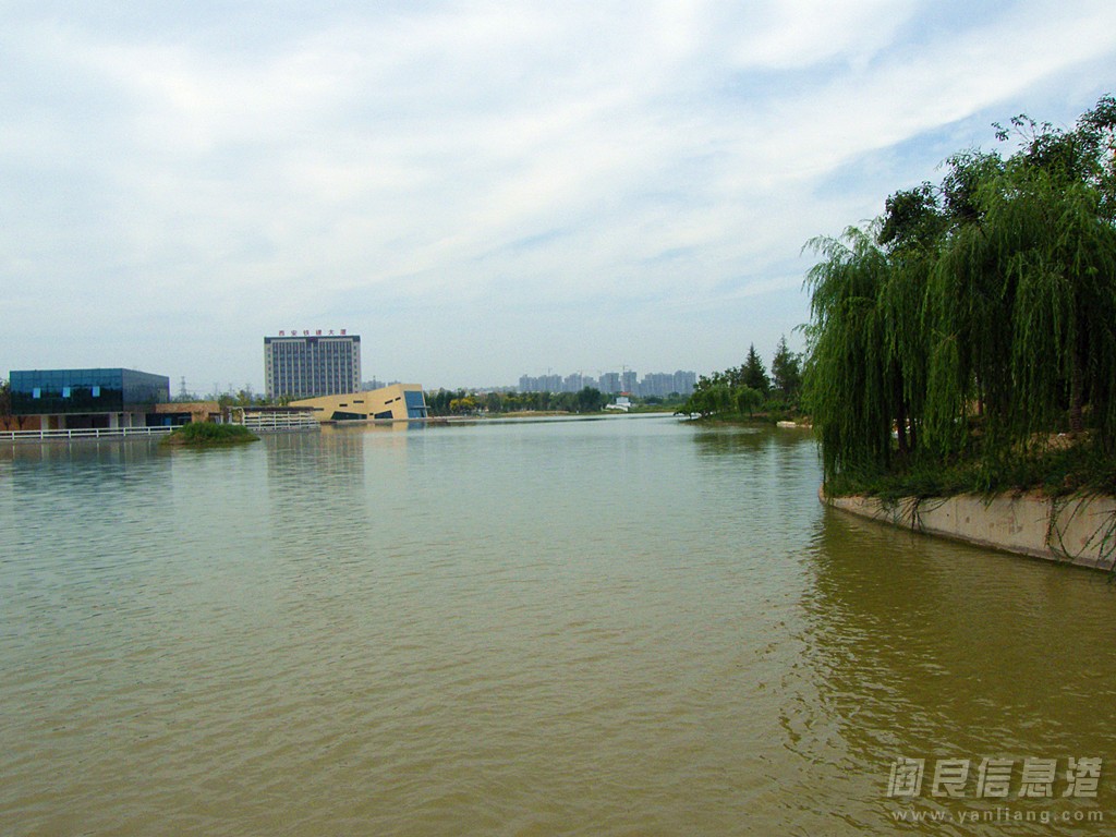 DSCF5195.jpg