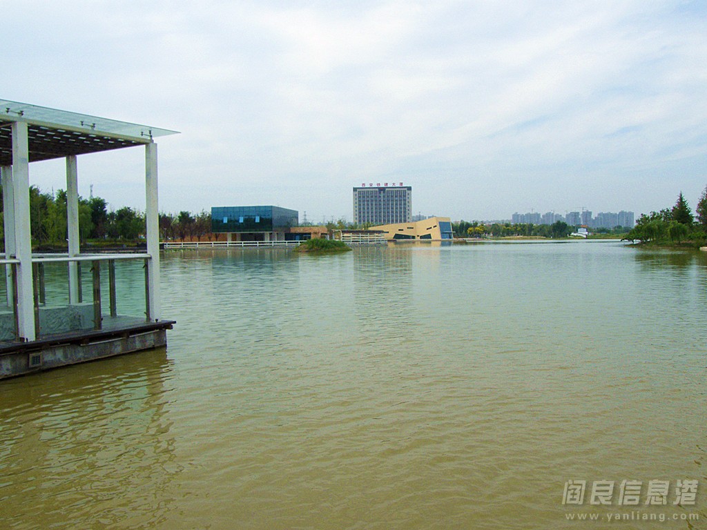 DSCF5196.jpg