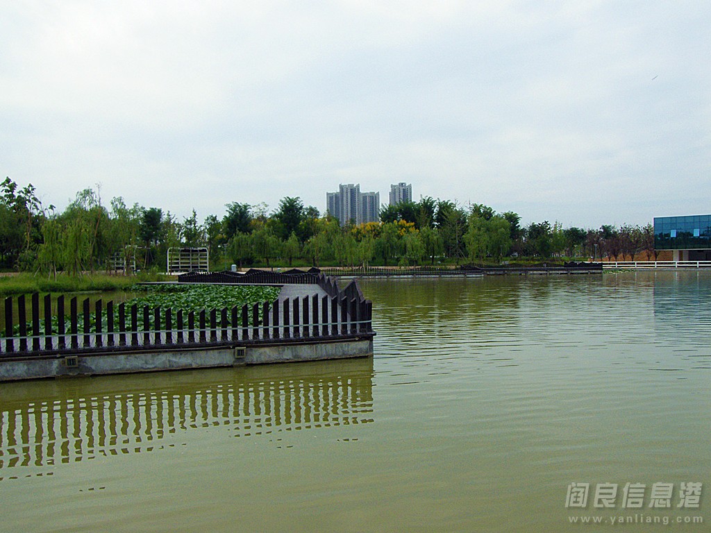 DSCF5200.jpg