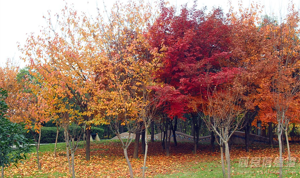 PB157042.jpg