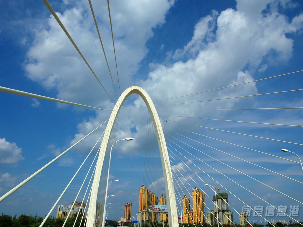 P9116667.jpg