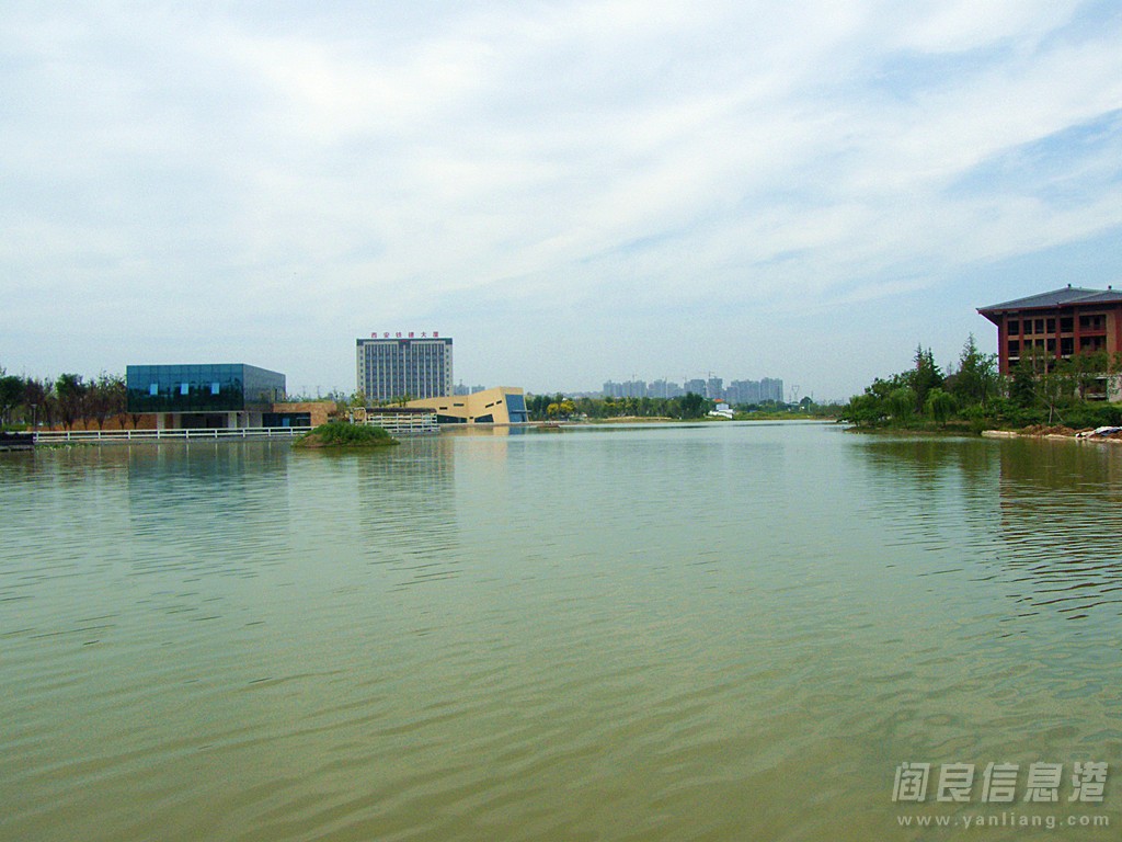DSCF5198.jpg
